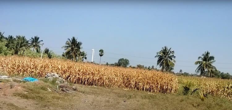 1.10 Acre Land for Sale