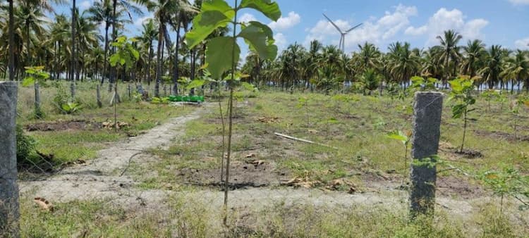 Single Property Image