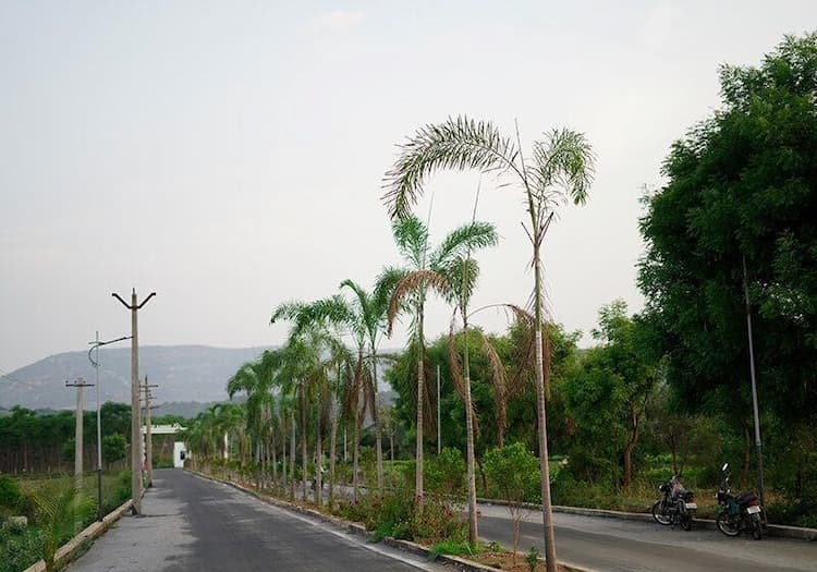 Single Property Image