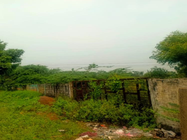 Land for sales