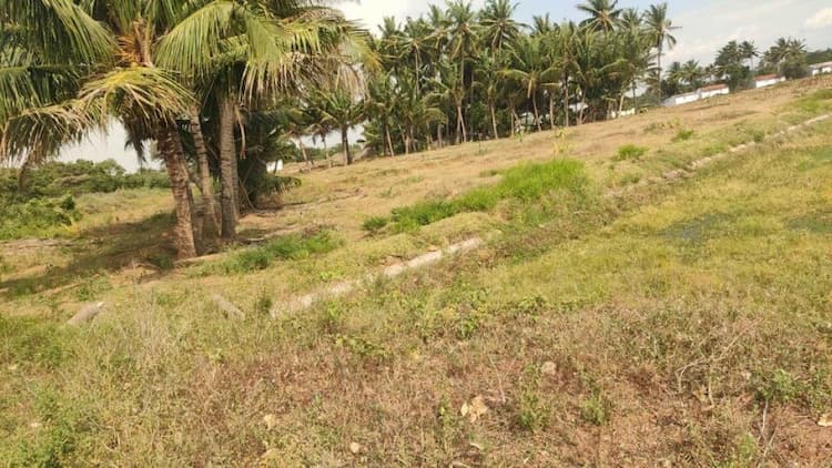 LAND FOR SALE