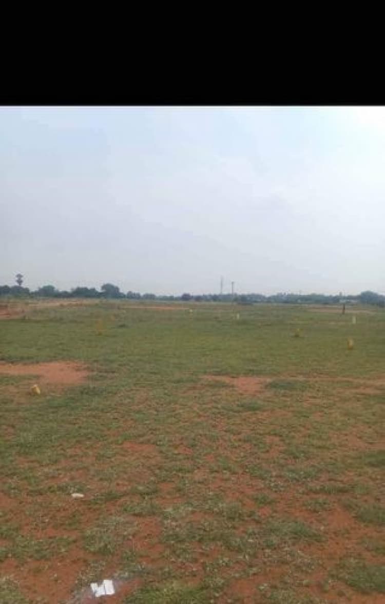Plot sale