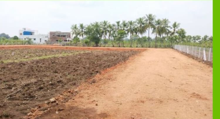 Trichy Low Budget Land For Sale