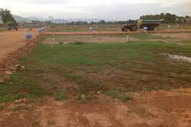 Plot sale