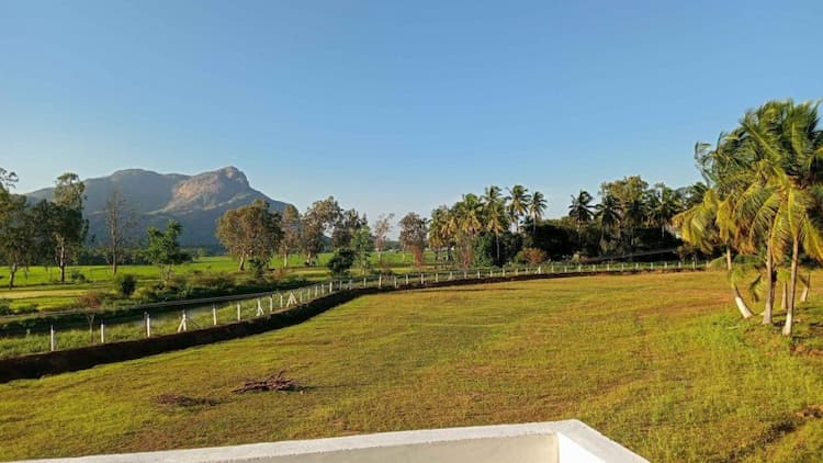 farm land for sale