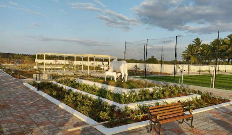 Single Property Image