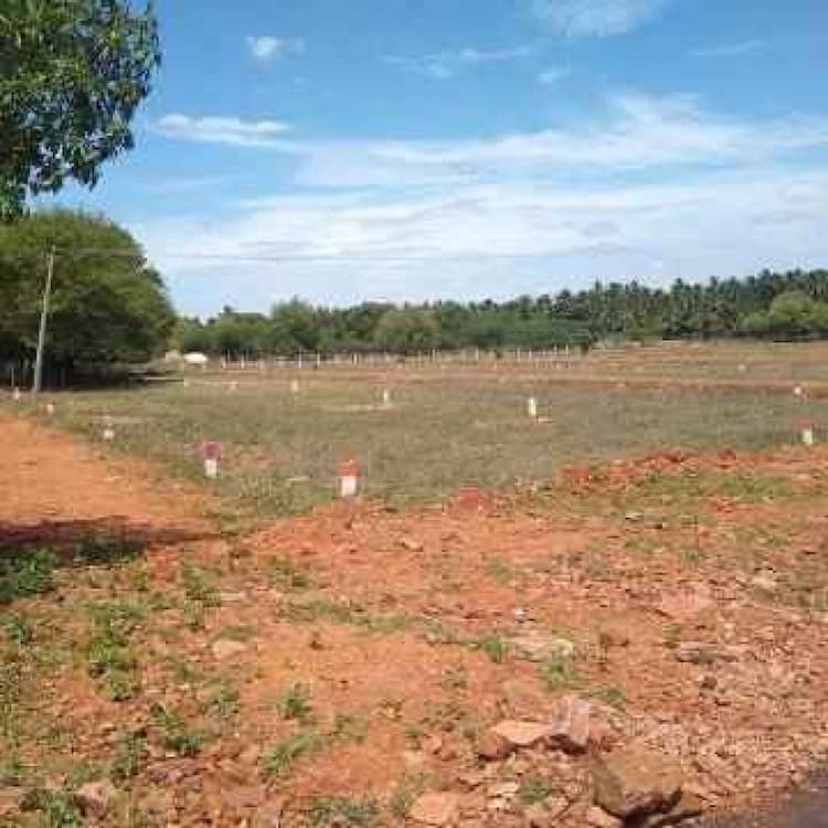 Single Property Image