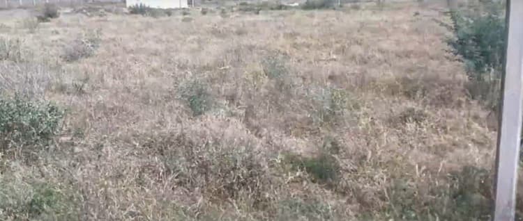 5 Acre Land for Sale