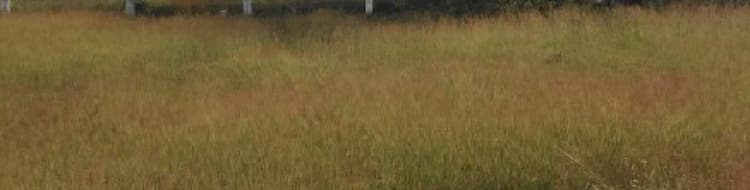 1200 sqft plot for sales