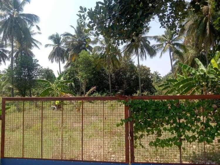 Land sale