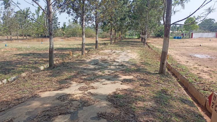 Single Property Image