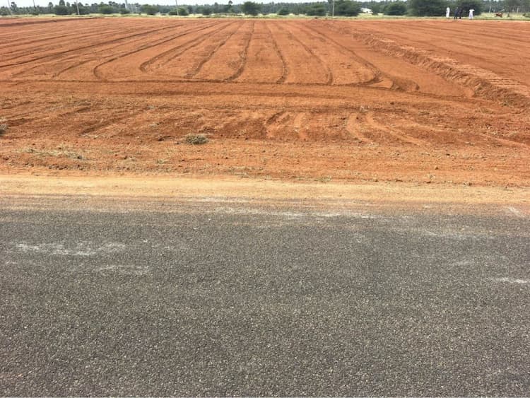 1 Acre Level Field in Udumalai