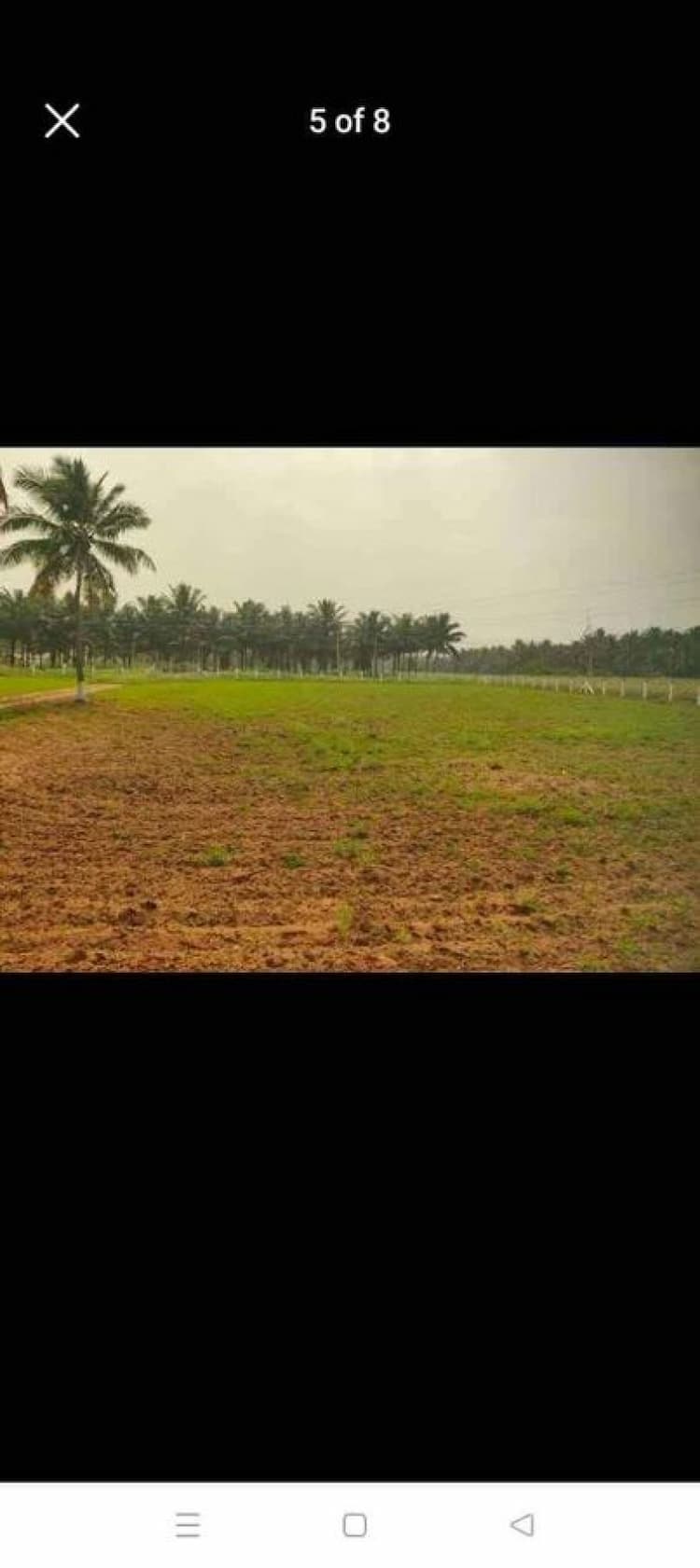 farm land for sale