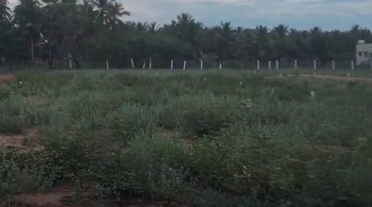 Land for sales