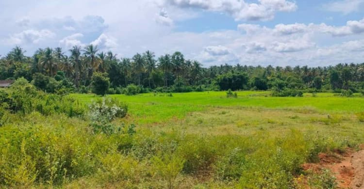 Single Property Image