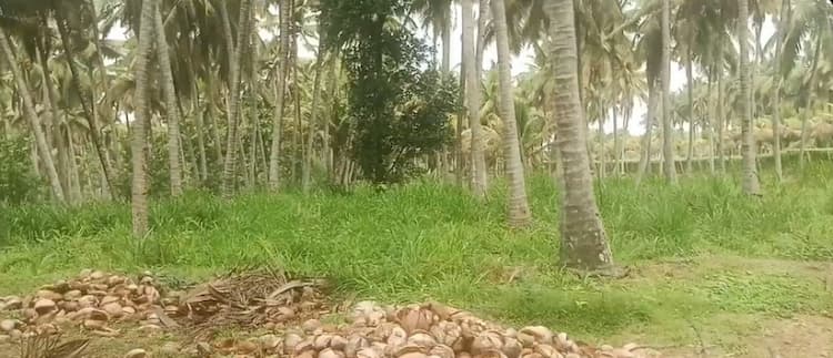 Land with Farm House for Sale