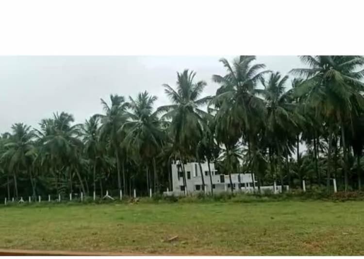 agri land for sale 