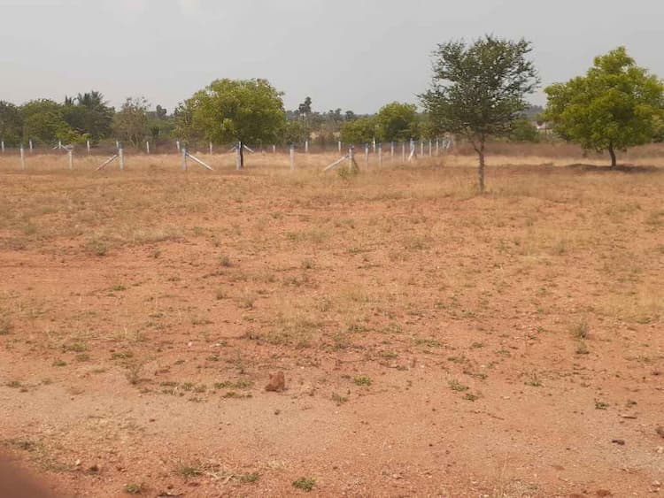 5 Cent Plot For Sale in Avinashi