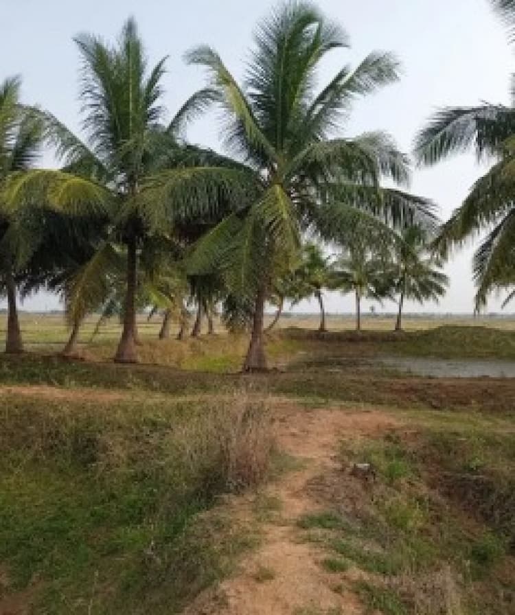 Single Property Image