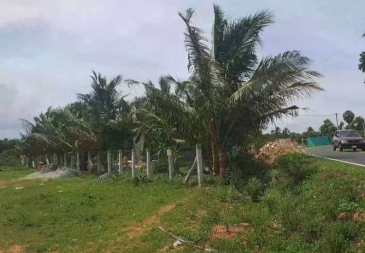 plot for sale 