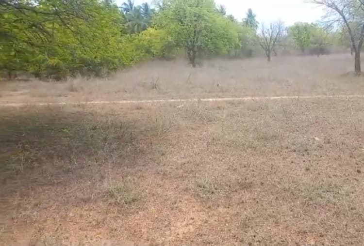 Low Budget Land for Sale