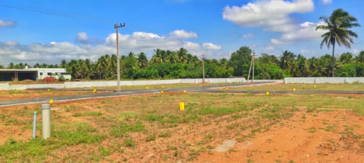 Single Property Image