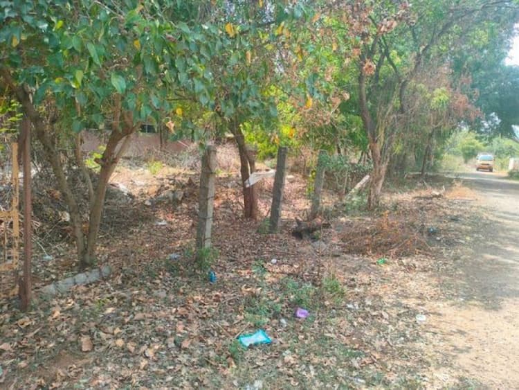 Plot for sale