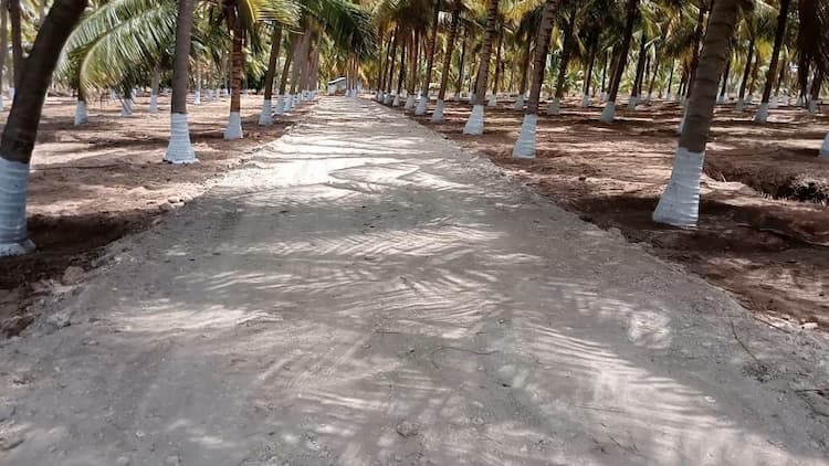 Single Property Image