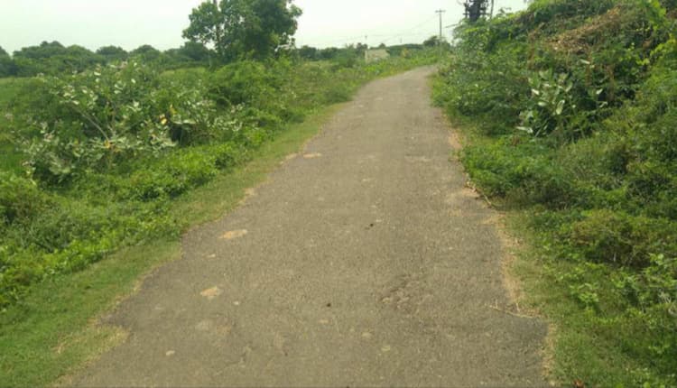 Single Property Image