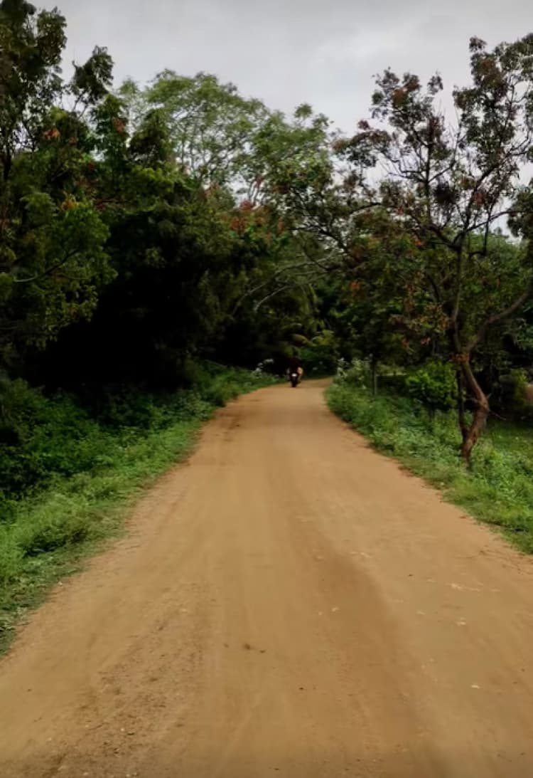 Single Property Image