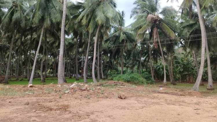 Land sale