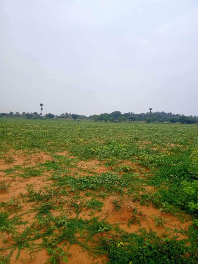 100 Acre land for sales