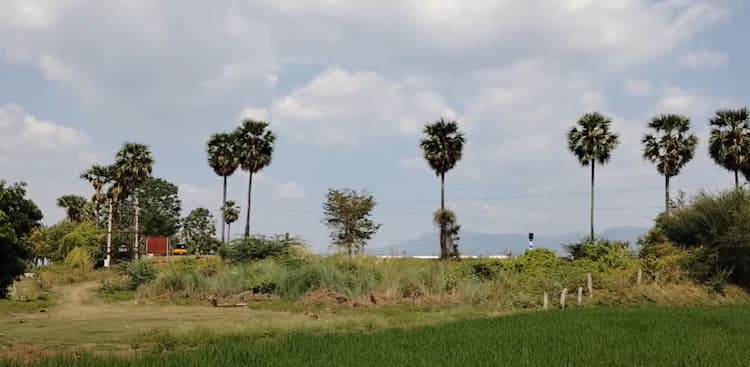 Single Property Image