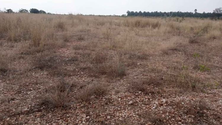 1.30 Acre Land for Sale