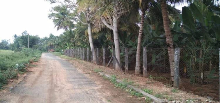 Agri Land For Sale