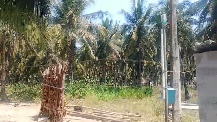 Agriculture Land for Sale