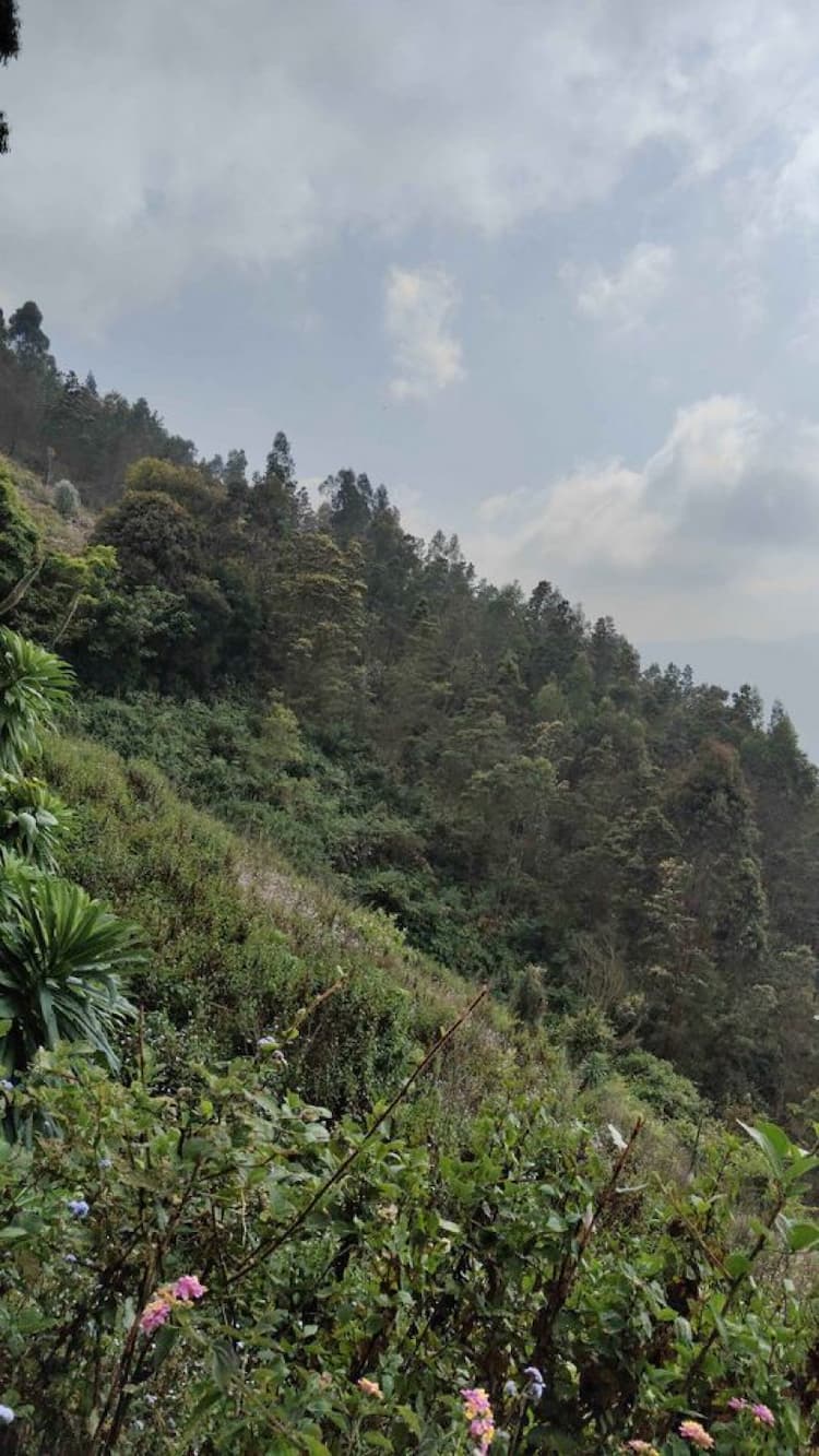 1.50 Acre land for sales