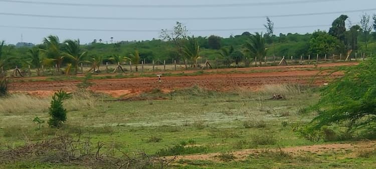 Plot sale