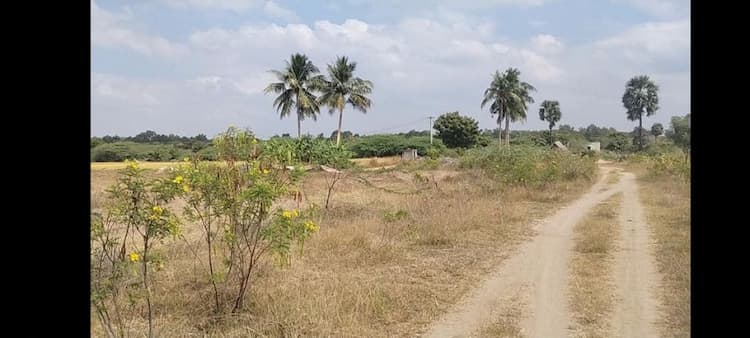 Agric Land Sale in Trichy 