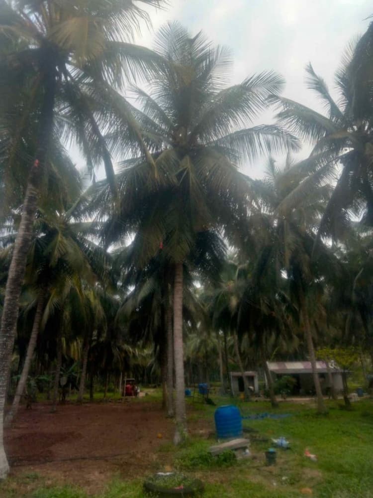 Farm LAnd For Sale