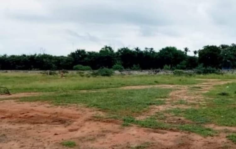 78 Cent land for sales