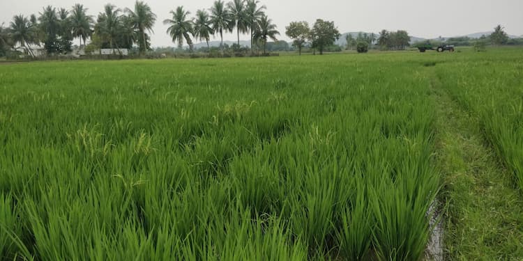 Single Property Image