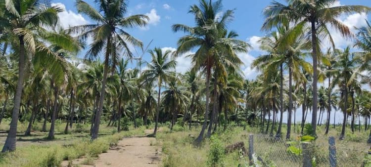 Single Property Image