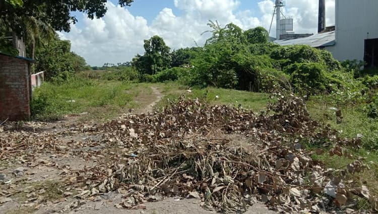 comercial punjai land 48 cent for sale