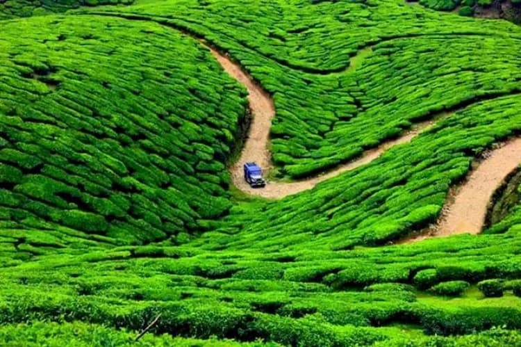 Single Property Image