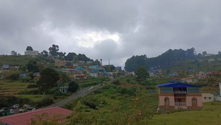 Nature Green View Farm