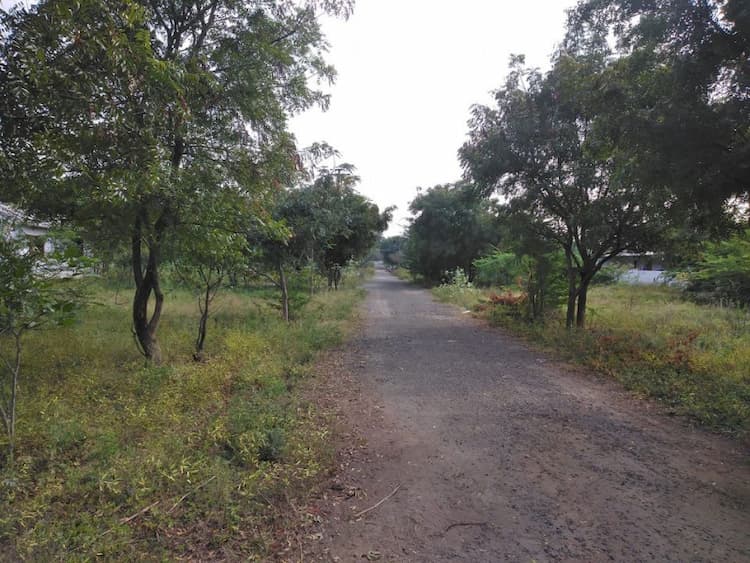 Single Property Image