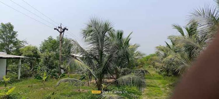 Farm land sale