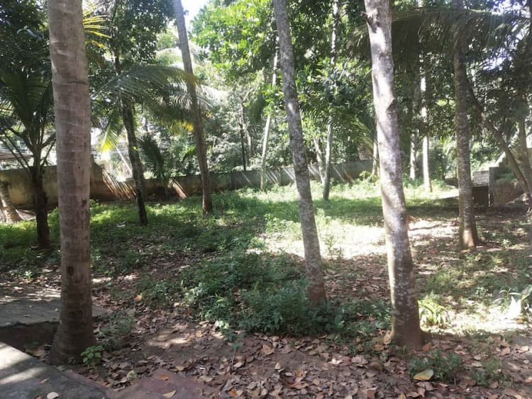 Single Property Image