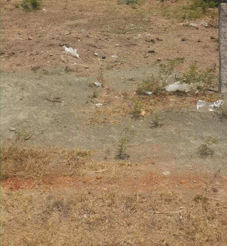 Plot sale